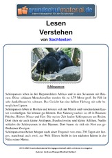 Schimpansen - Sachtext.pdf
